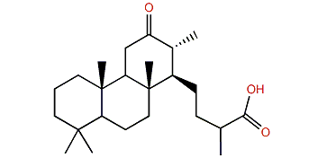 Conulosin B